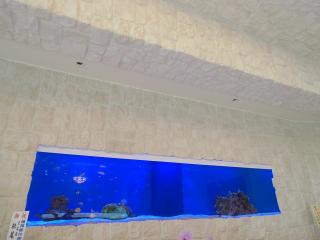 �摜(320x240)�E�g��摜(640x480)